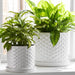 s-2-10-12-small-bubble-planter-white-11