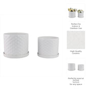 s-2-10-12-small-bubble-planter-white-9
