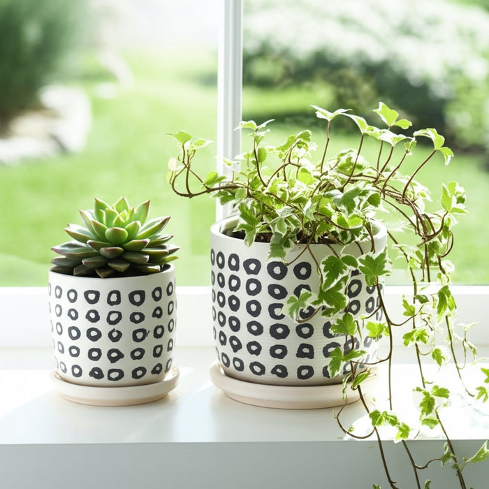 s-2-5-6-aztec-planter-w-saucer-black-12