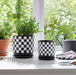 s-2-5-6-checkerboard-saucer-planters-black-white-10
