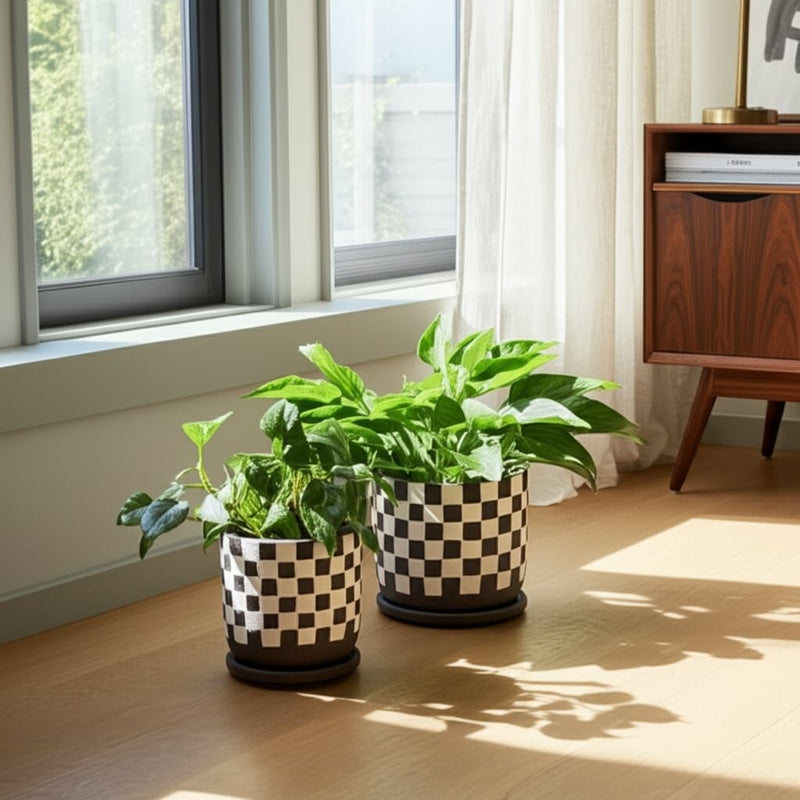 s-2-5-6-checkerboard-saucer-planters-black-white-11