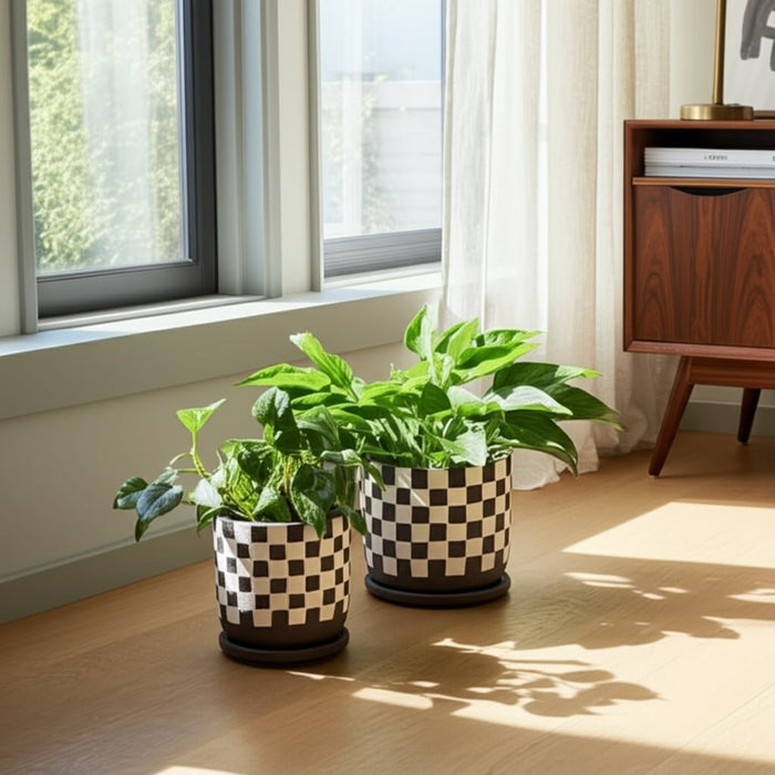 s-2-5-6-checkerboard-saucer-planters-black-white-11
