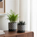 s-2-5-6-checkerboard-saucer-planters-black-white-9