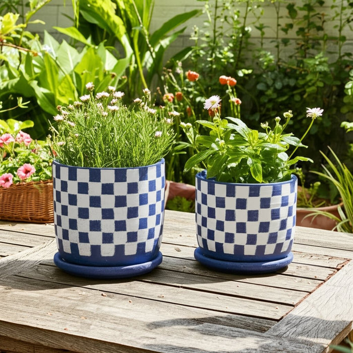 s-2-5-6-checkerboard-saucer-planters-blue-white-10