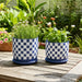 s-2-5-6-checkerboard-saucer-planters-blue-white-10