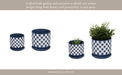 s-2-5-6-checkerboard-saucer-planters-blue-white-11