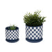 s-2-5-6-checkerboard-saucer-planters-blue-white-2