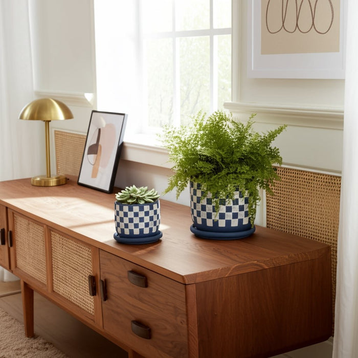 s-2-5-6-checkerboard-saucer-planters-blue-white-9