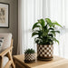 s-2-5-6-checkerboard-saucer-planters-white-tan-10
