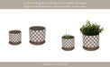 s-2-5-6-checkerboard-saucer-planters-white-tan-11