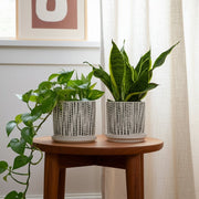 s-2-5-6-dotted-planters-w-saucer-beige-7