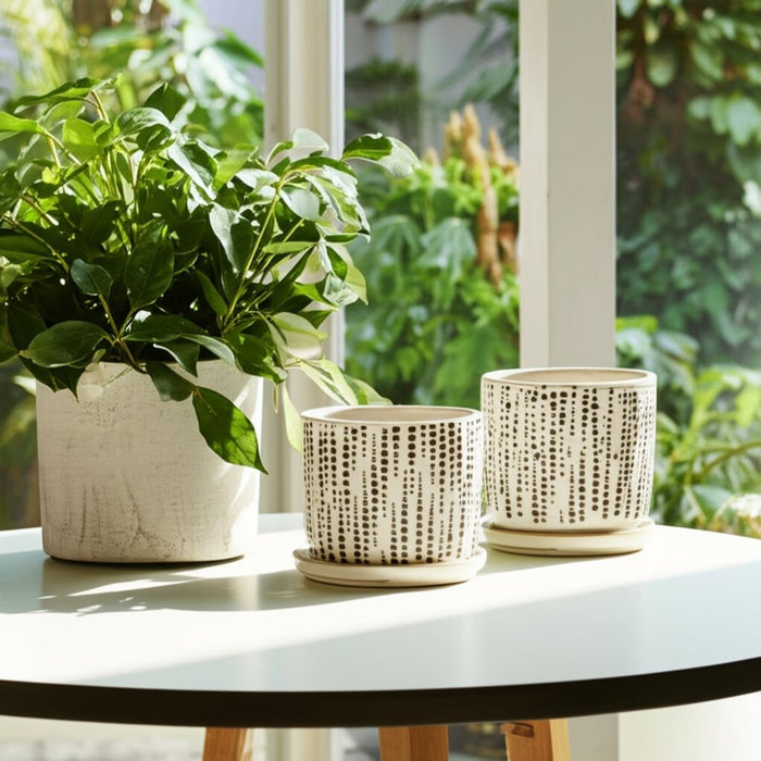 s-2-5-6-dotted-planters-w-saucer-beige-8