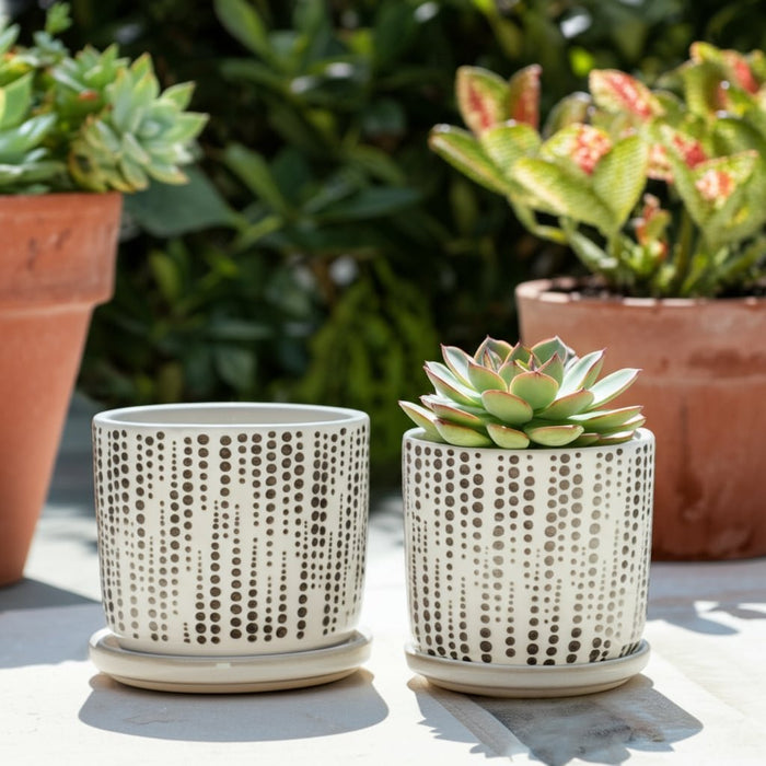 s-2-5-6-dotted-planters-w-saucer-beige-9