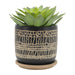 s-2-5-6-glazed-planter-w-saucer-black-6