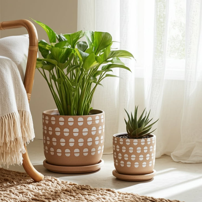 s-2-5-6-hand-stamped-saucer-planters-tan-white-10