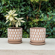 s-2-5-6-hand-stamped-saucer-planters-tan-white-11