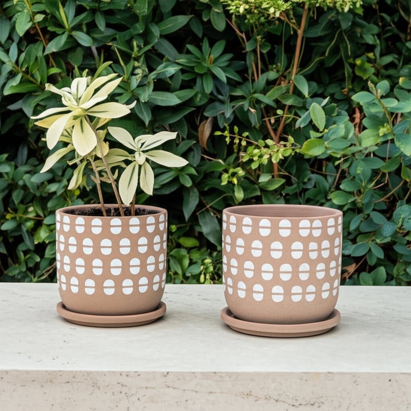 s-2-5-6-hand-stamped-saucer-planters-tan-white-11