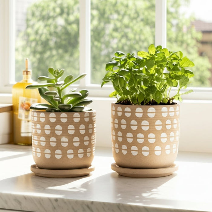 s-2-5-6-hand-stamped-saucer-planters-tan-white-12