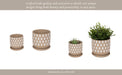 s-2-5-6-hand-stamped-saucer-planters-tan-white-13
