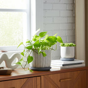 s-2-5-6-mesh-planter-w-saucer-gray-11