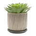 s-2-5-6-mesh-planter-w-saucer-gray-6