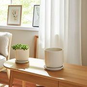 s-2-5-6-mesh-planter-w-saucer-sage-11
