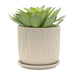 s-2-5-6-mesh-planter-w-saucer-sage-6
