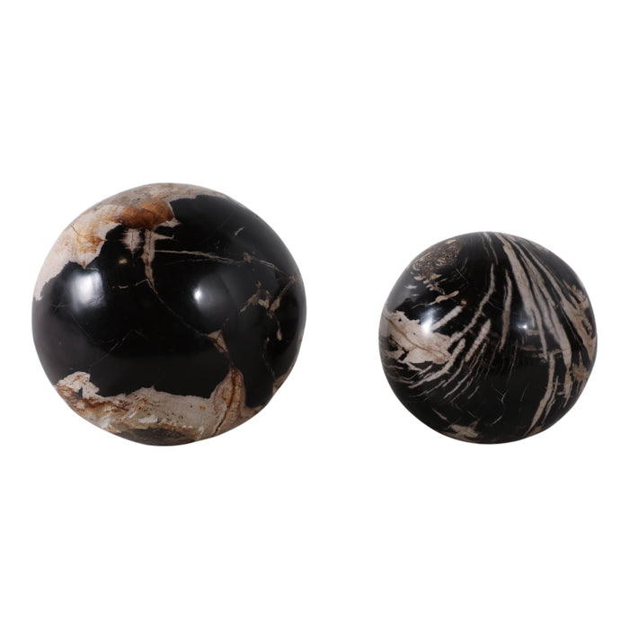 s-2-5-6-petrified-wood-orbs-black-1
