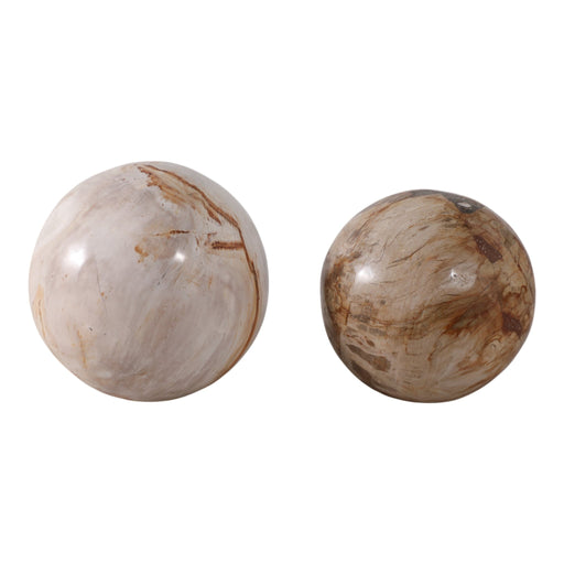 s-2-5-6-petrified-wood-orbs-ivory-1