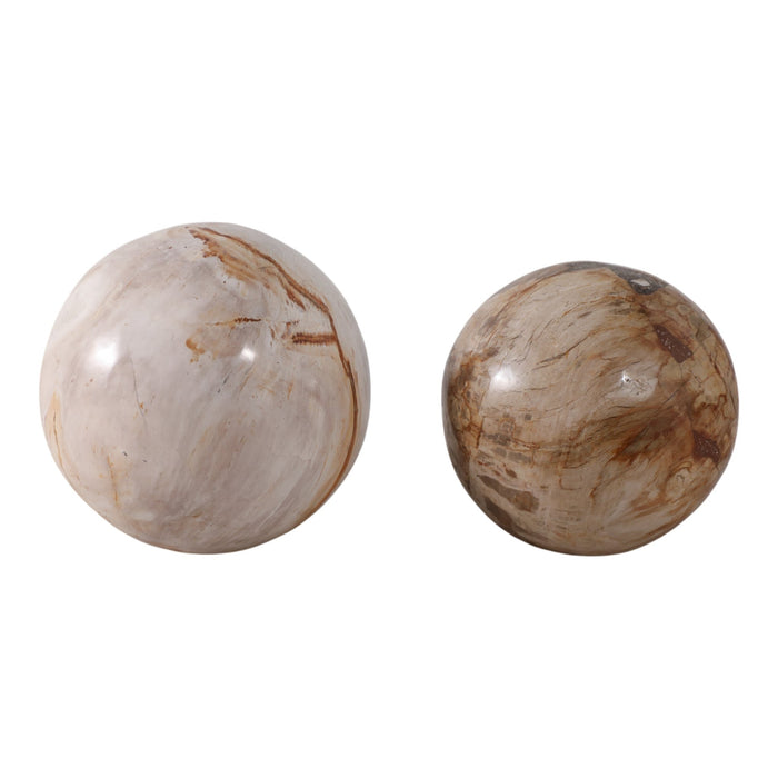 s-2-5-6-petrified-wood-orbs-ivory-1