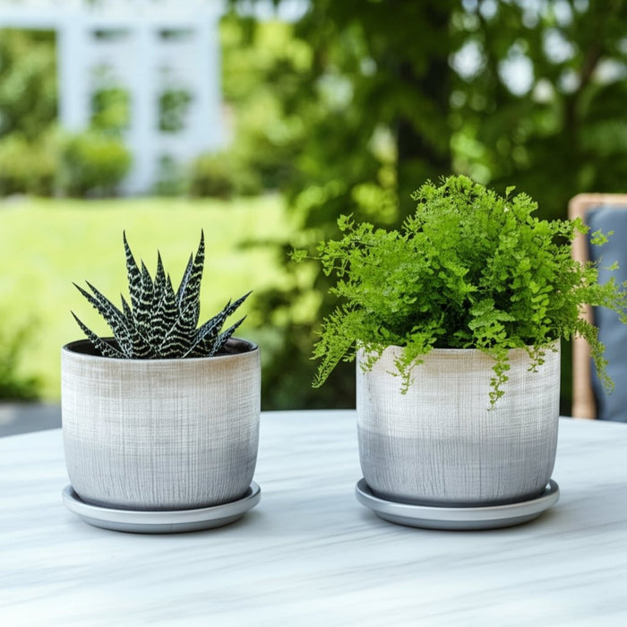 s-2-5-6-textured-planter-with-saucer-silver-11