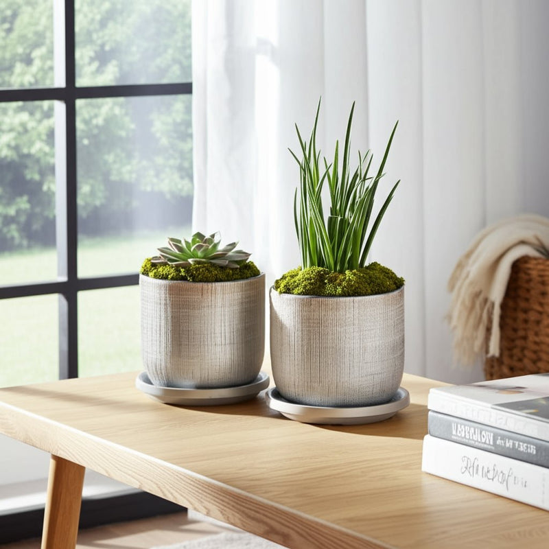s-2-5-6-textured-planter-with-saucer-silver-9