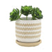 s-2-5-6-zig-zag-planter-w-saucer-white-3