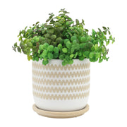 s-2-5-6-zig-zag-planter-w-saucer-white-6