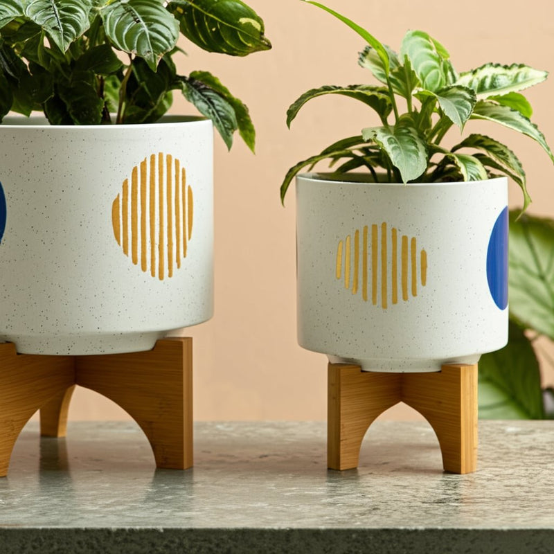 s-2-5-8-funky-planter-w-stand-white-11