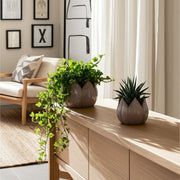 s-2-5-8-petal-planters-lavender-4