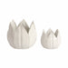 s-2-5-8-petal-planters-white-2