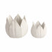 s-2-5-8-petal-planters-white-3