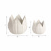 s-2-5-8-petal-planters-white-6