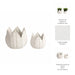 s-2-5-8-petal-planters-white-7