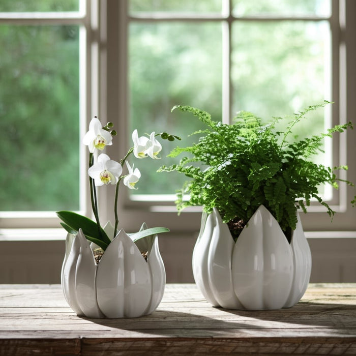 s-2-5-8-petal-planters-white-8