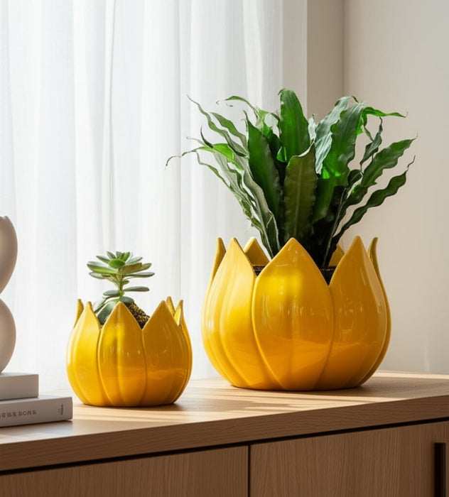 s-2-5-8-petal-planters-yellow-10