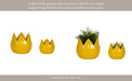 s-2-5-8-petal-planters-yellow-11