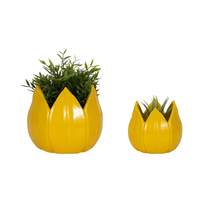 s-2-5-8-petal-planters-yellow-2