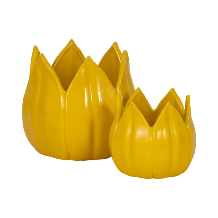s-2-5-8-petal-planters-yellow-4