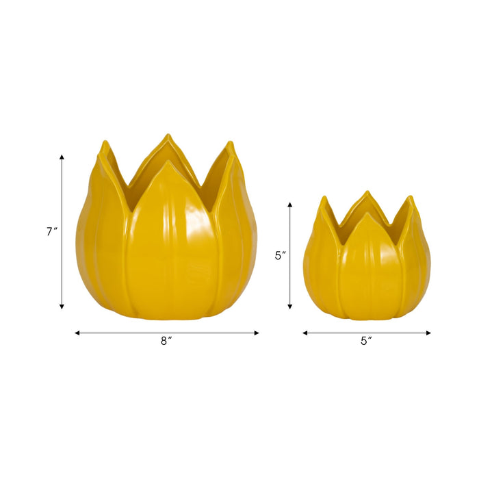 s-2-5-8-petal-planters-yellow-8