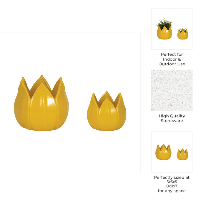 s-2-5-8-petal-planters-yellow-9