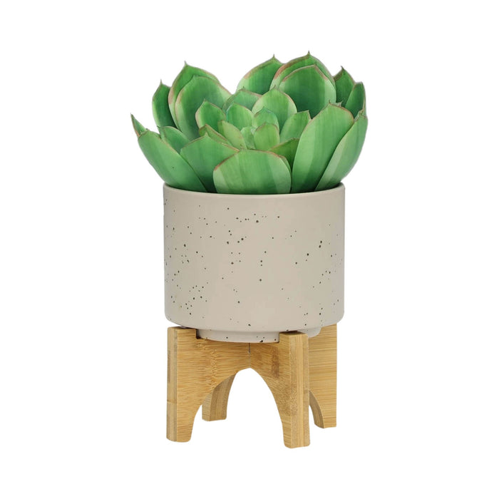 s-2-5-8-planter-w-wood-stand-matte-beige-4
