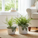s-2-6-7-big-bow-planters-white-green-11