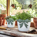 s-2-6-7-big-bow-planters-white-green-13
